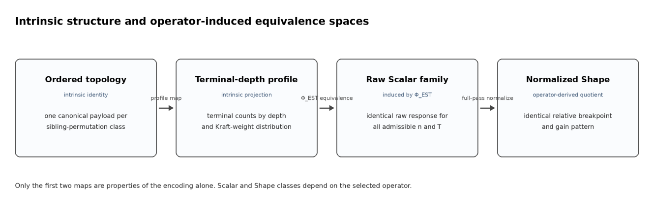 Figure 2. Intrinsic structural projections and operator-induced equivalence maps.